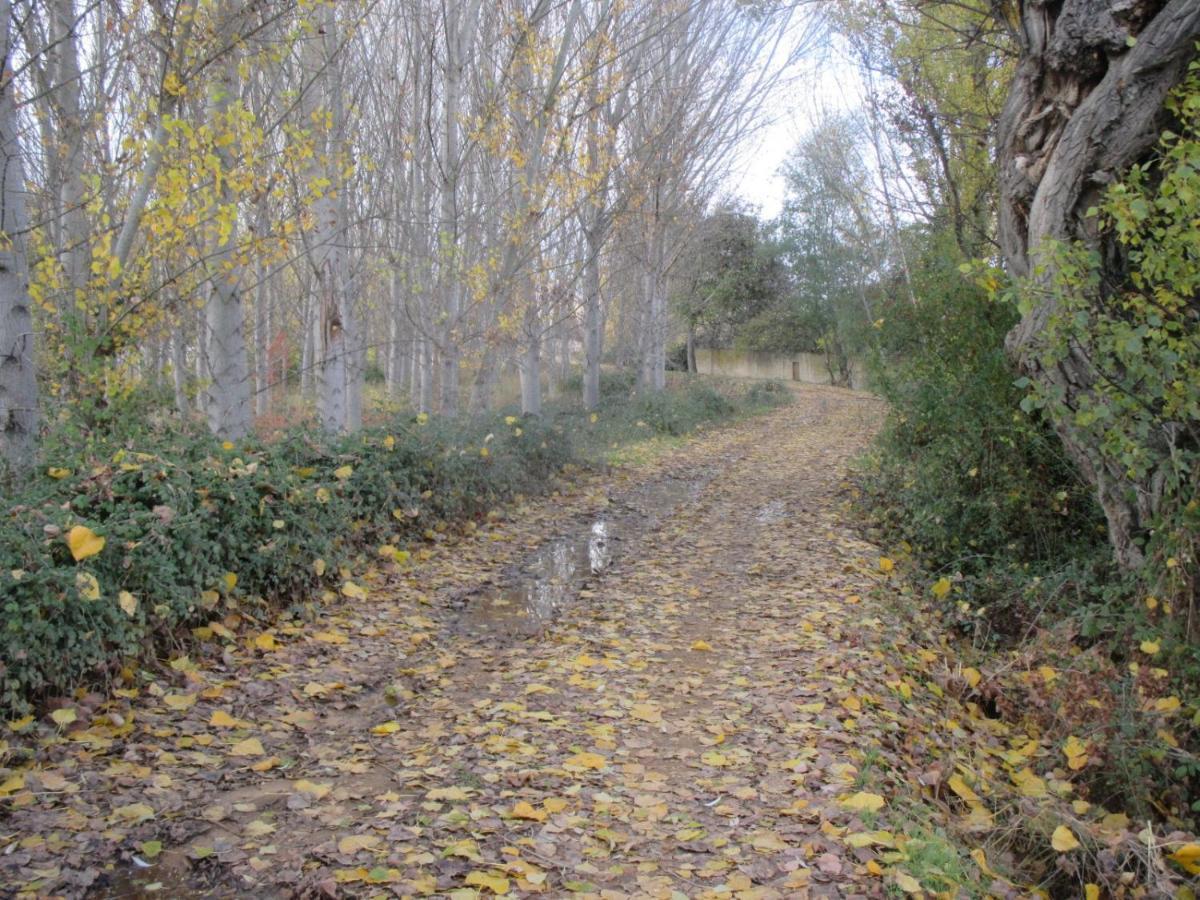 Boleta A 5 Minutos De Leon, Casa Con Jardin Villa San Andres del Rabanedo ภายนอก รูปภาพ